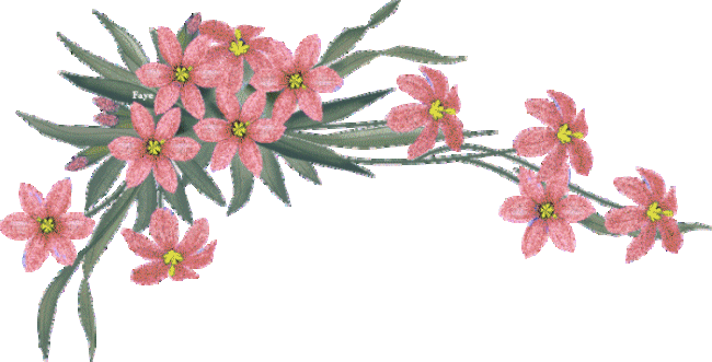 Lily (650x331)