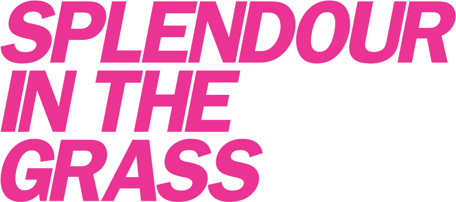 Splendour In The Grass Logo (1400x430)