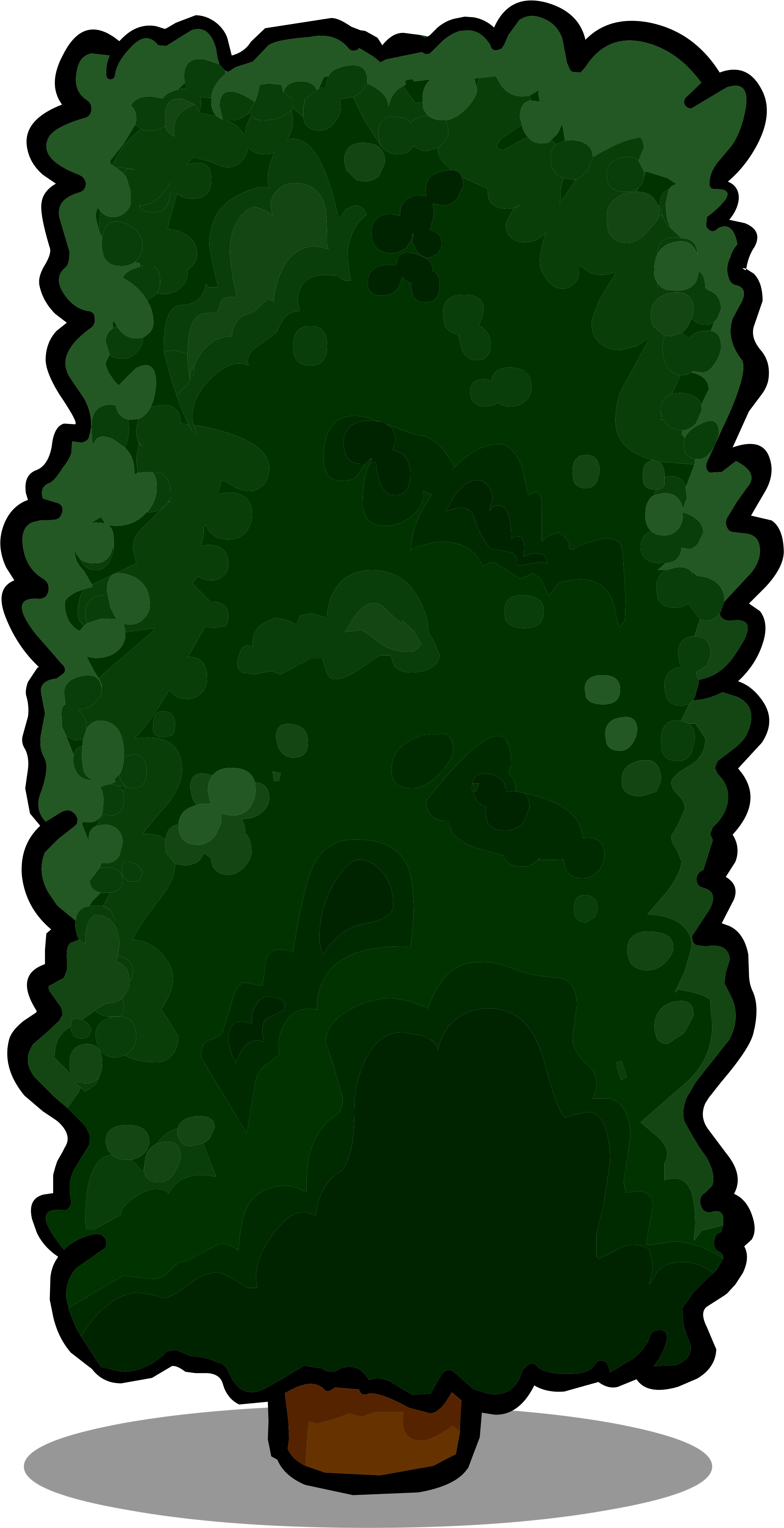 All Images From Collection - Grass (2876x5708)