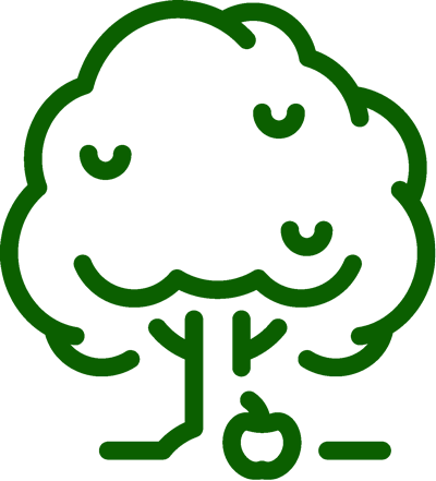 Fruit Tree Cutting - Fruit Tree Cutting (400x441)