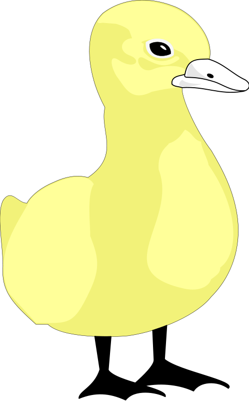 Cartoon Bird 10 Free Vector - Cartoon (498x800)