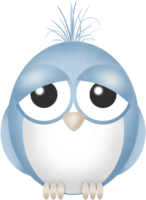 Cartoon Blue Birds - Bird (593x800)