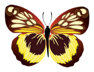 Spinning Mouse - Butterfly Vector Free (512x512)