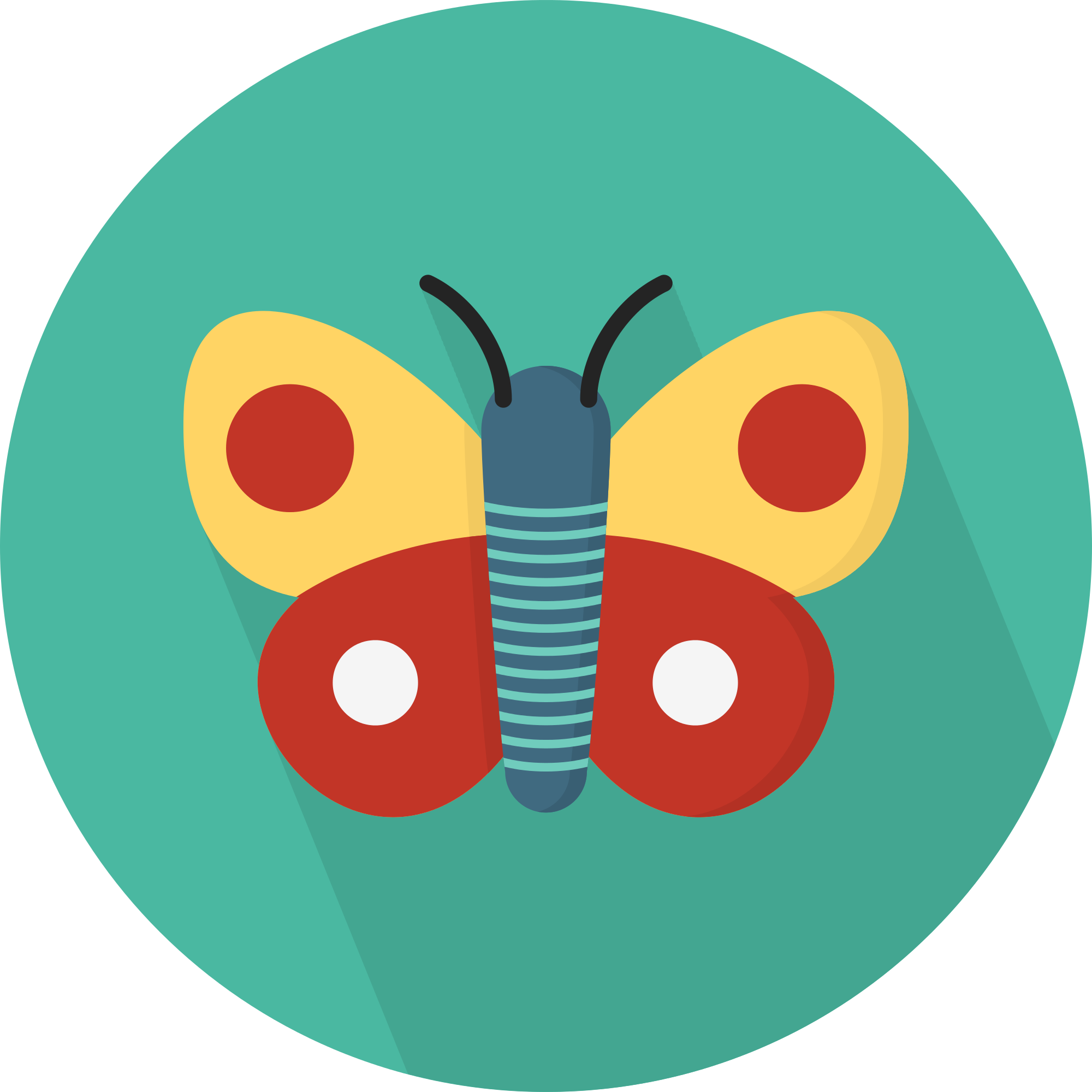 Open - Butterfly In A Circle (2000x2000)