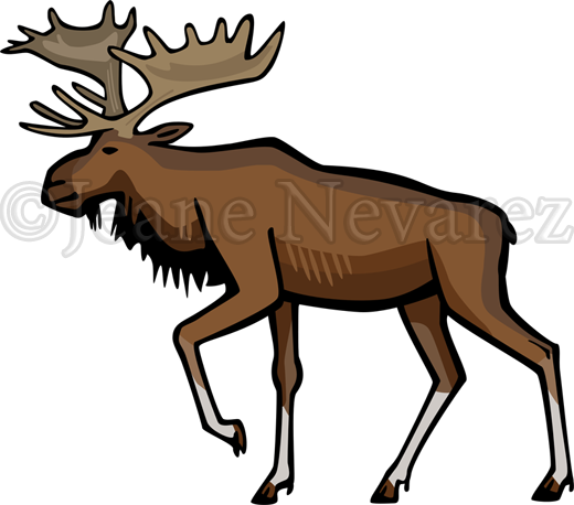Bull Moose - Cartoon (520x458)
