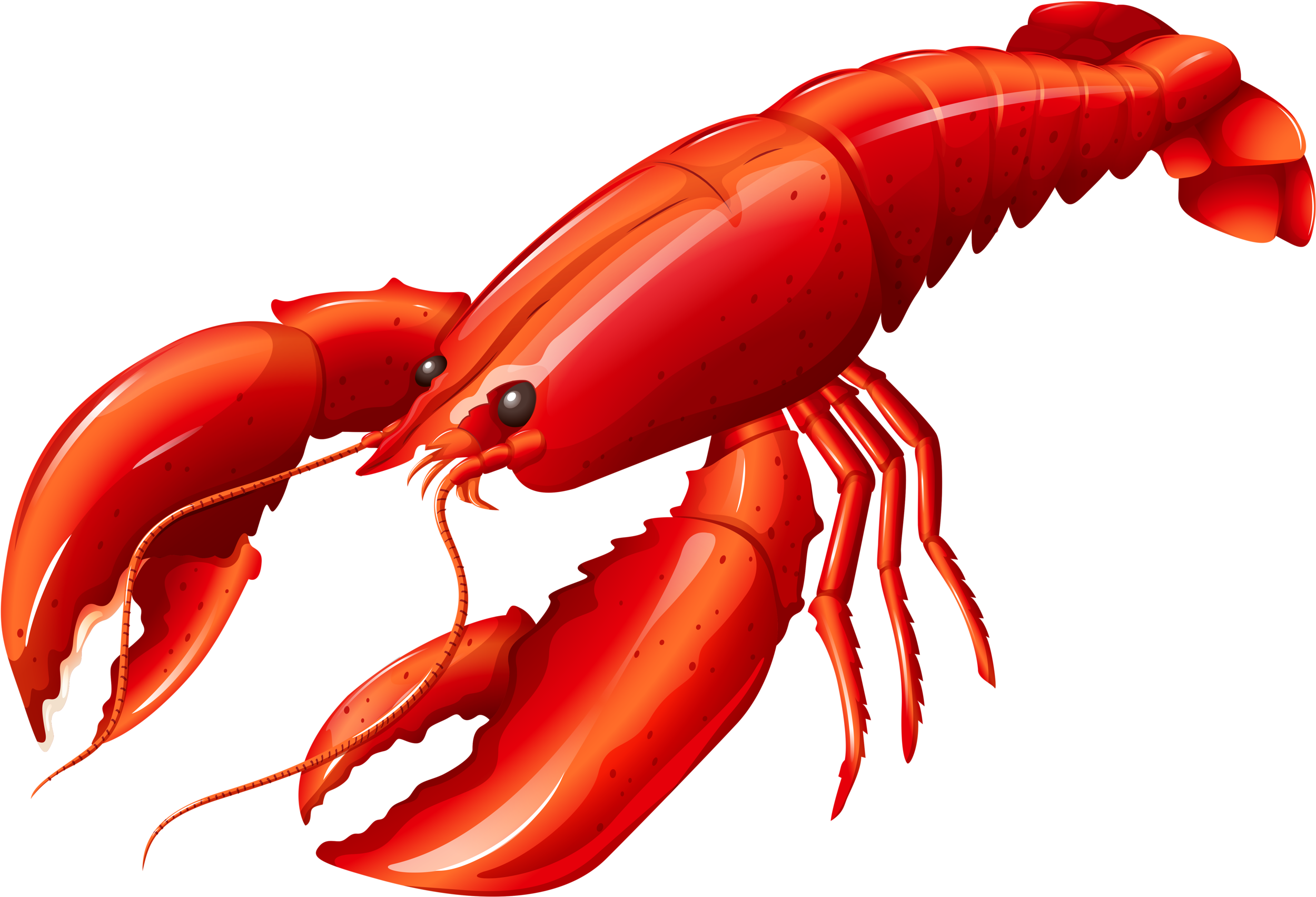 8 - Lobster Clipart (2560x1793)