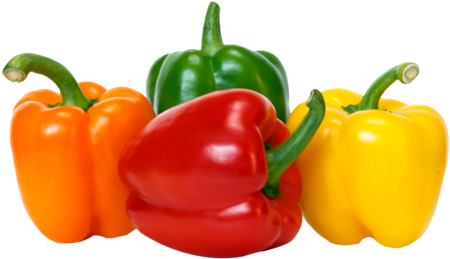 Bell Pepper / พริกหวาน, พริกหยวก - Pimiento Morron (480x480)