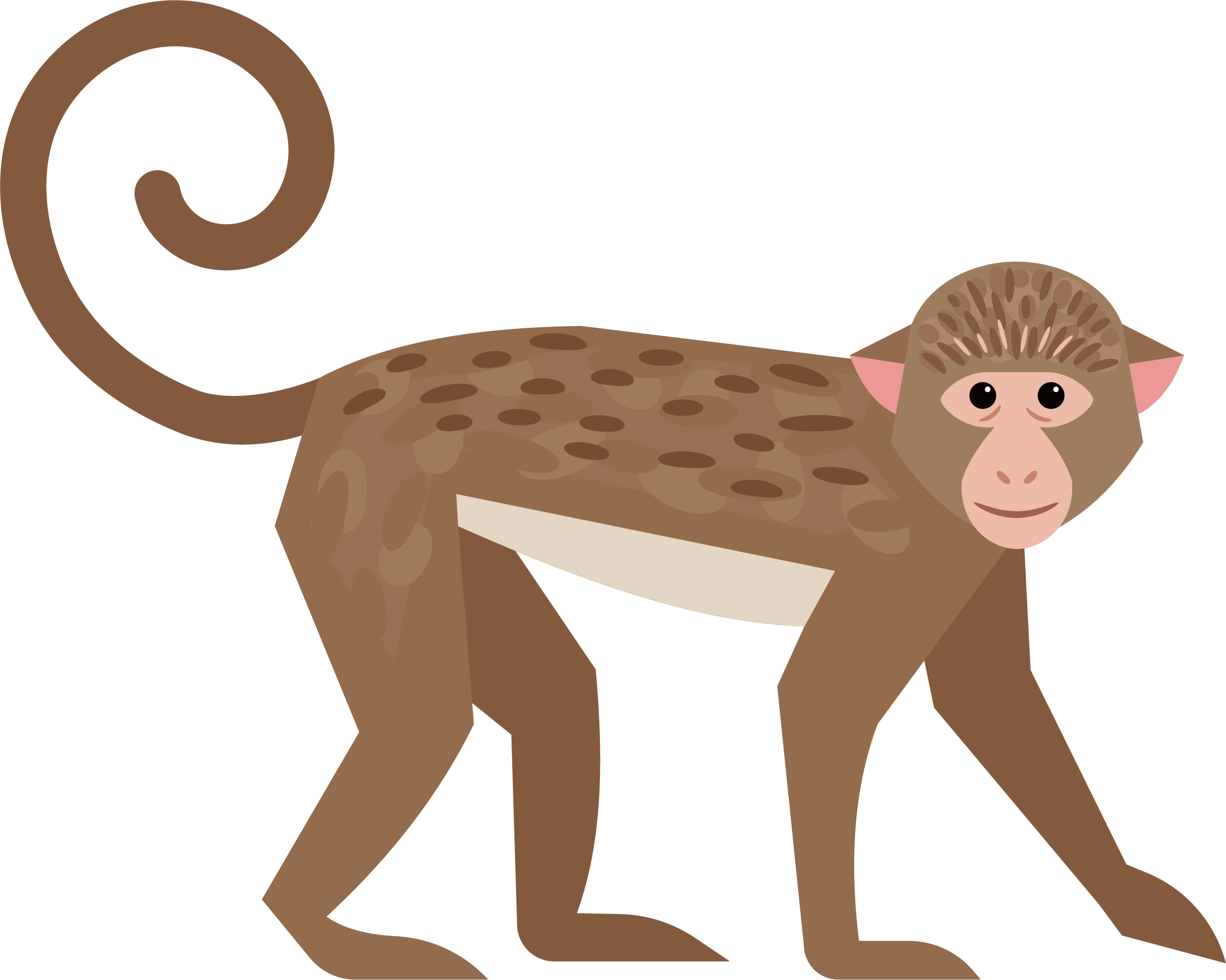 Cute Little Monkey - Long Tail (2209x1767)