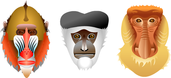 Monkeyface5 - Illustration (730x350)