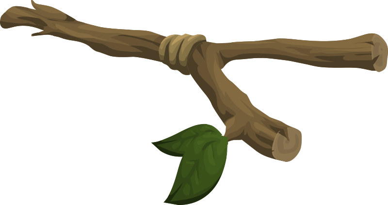 Medium Image - Twig Png (1420x750)