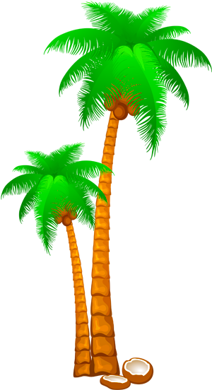 Palm Tree Free Clip Art (320x590)