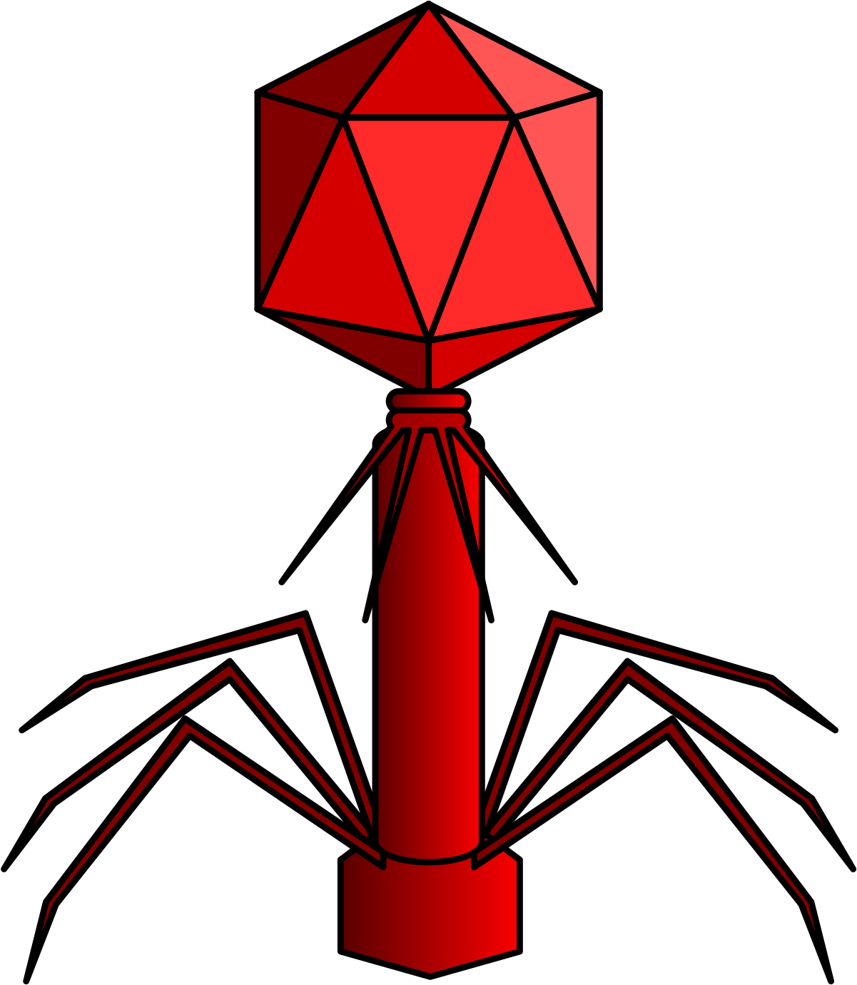 Spacecraft Virus (1200x1537)