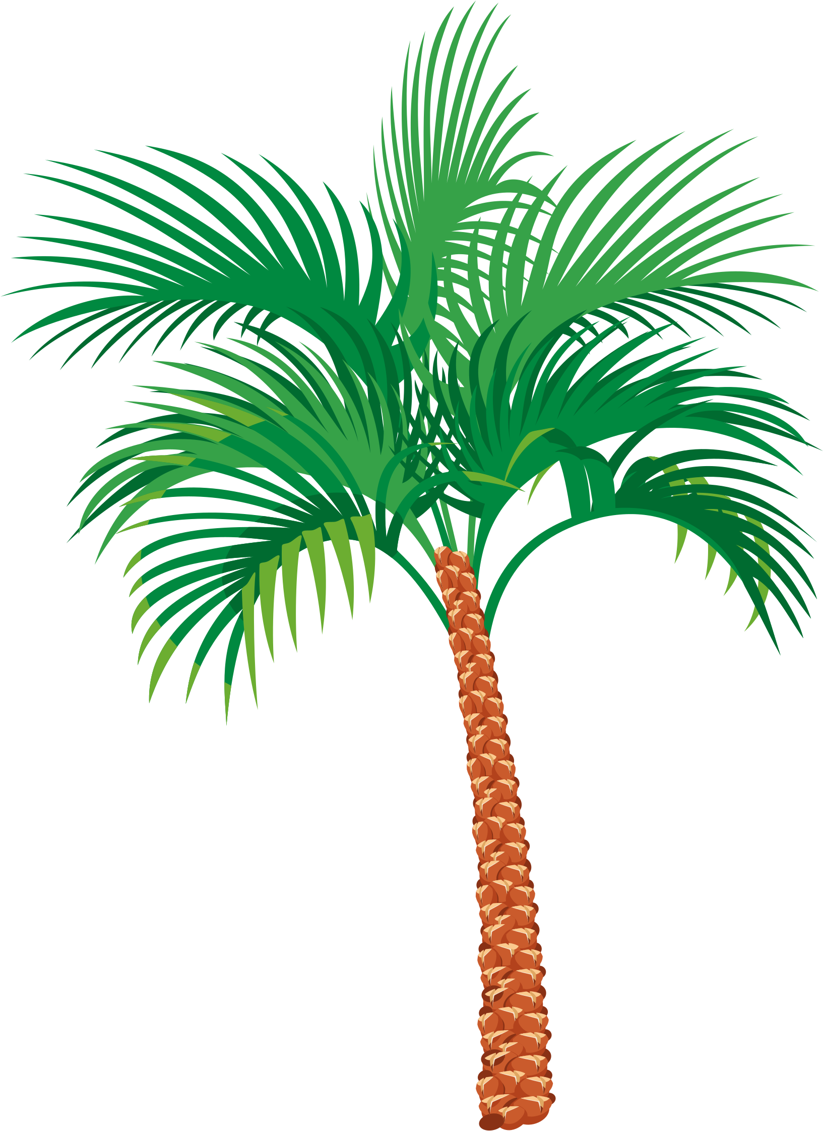 Big Image - Date Tree Vector Png (1792x2400)