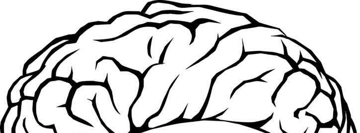 Neuroscientists Are Using Ai Models To Create "toy - Brain Line Drawing (1135x471)