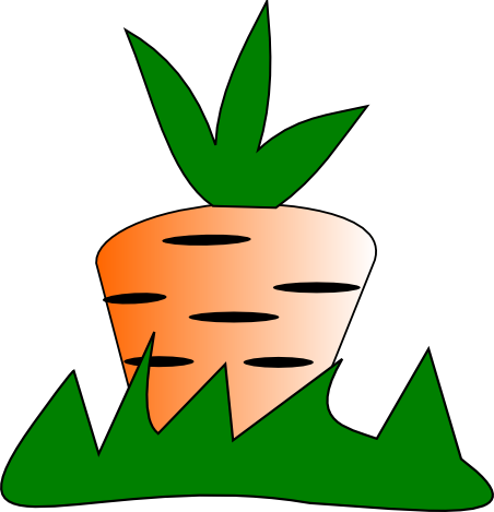 Carrot Patch - Carrot Patch (452x469)