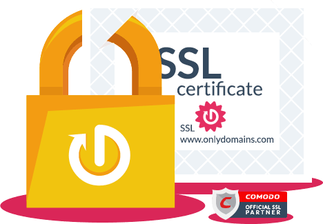 Public Key Certificate (468x325)