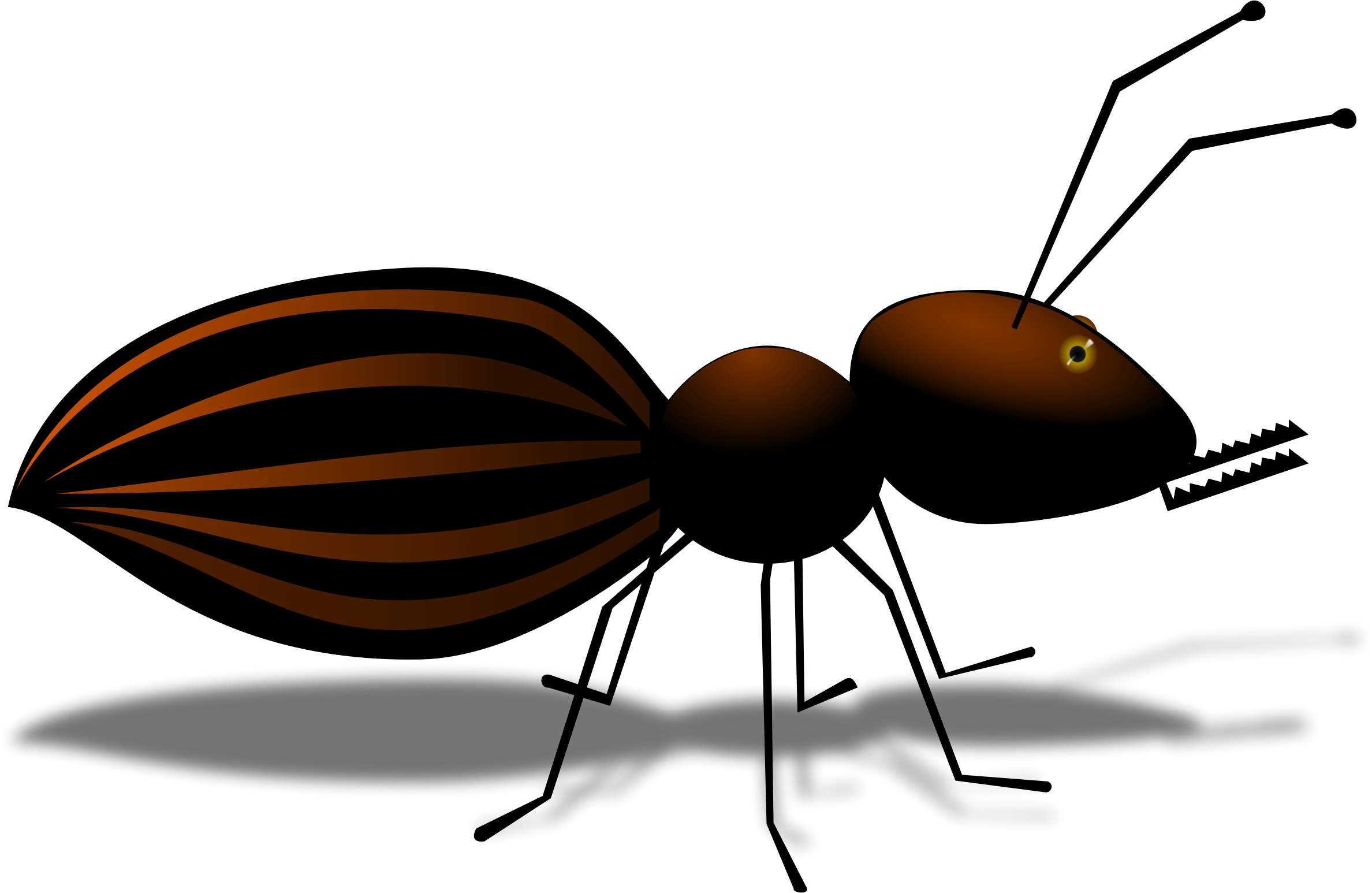 Big Image - Муравей Png (2376x1546)