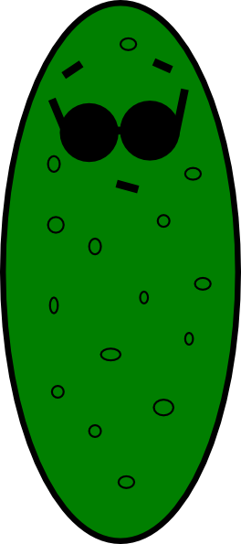 Regras (264x595)