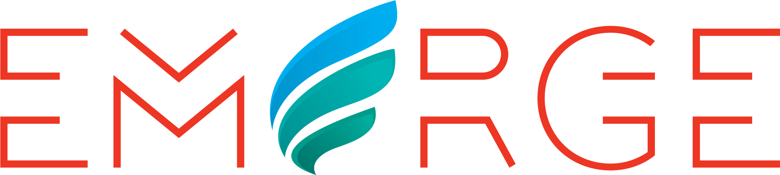 Emerge Infotech Best Web Design Development Digital - Web Development (2493x630)