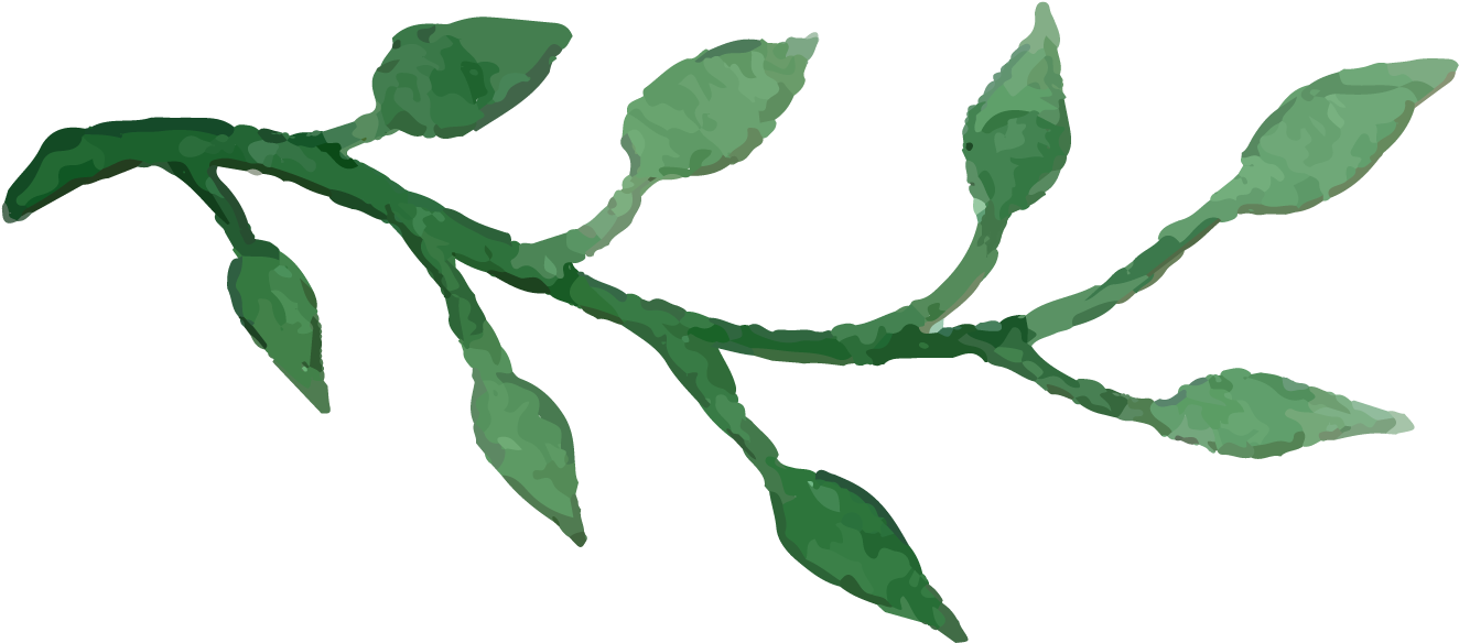 Elements-03 - Twig (1483x717)