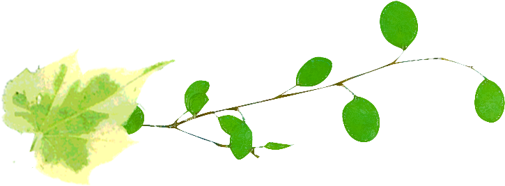 Cloud - Twig (724x347)