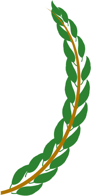 Clip Art (344x696)