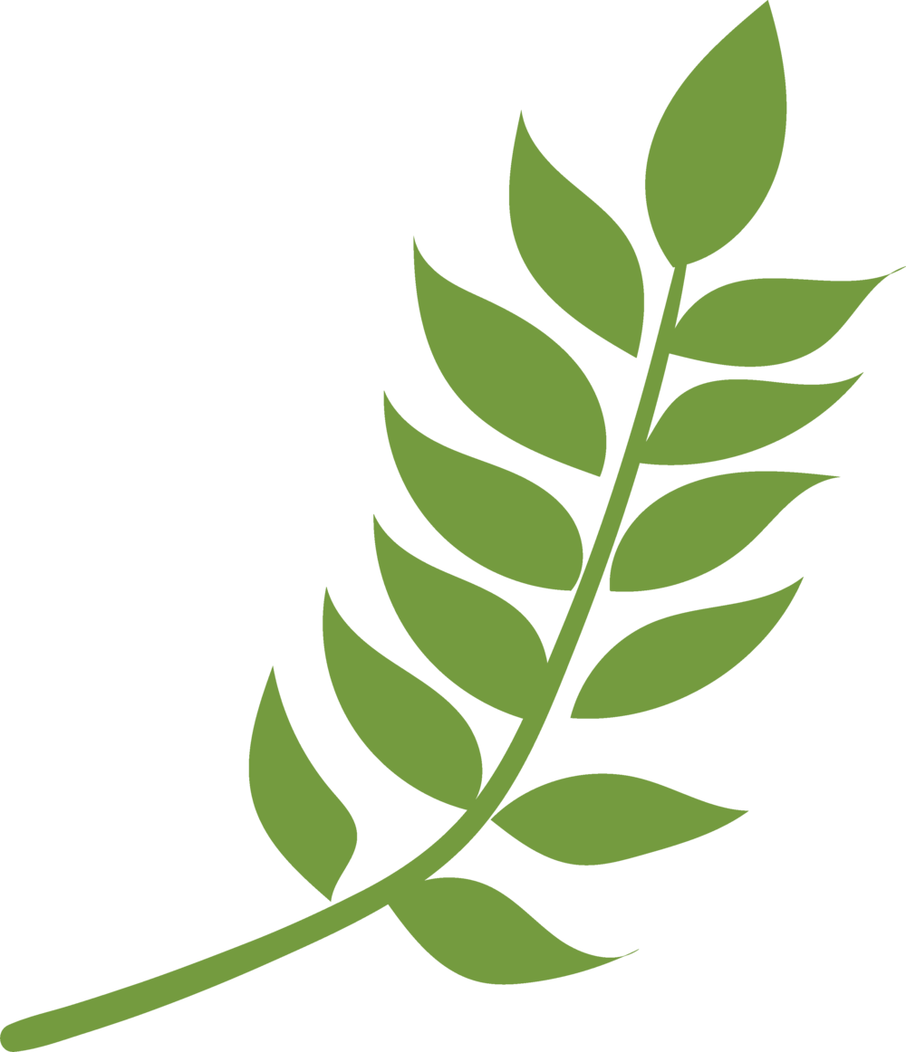   Twig (1000x1162)