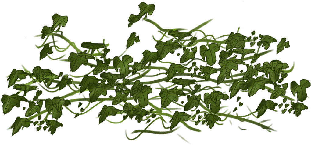 Pixels Wide - Ivy Png (1032x774)