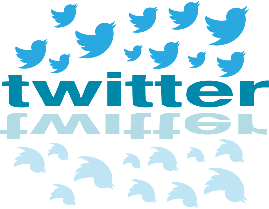 Twitter (924x720)