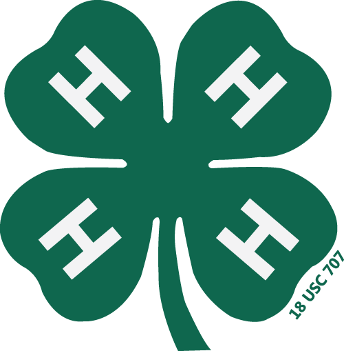 2017 - 4 H (500x509)