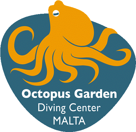 Octopus (480x480)
