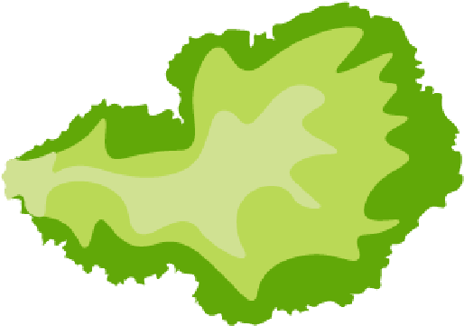Lettuce Clipart - Illustration (731x427)
