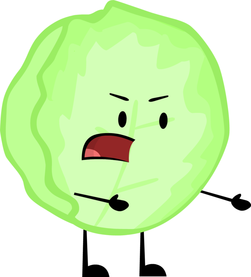 Lettuce - Last Object Standing Lettuce (850x940)