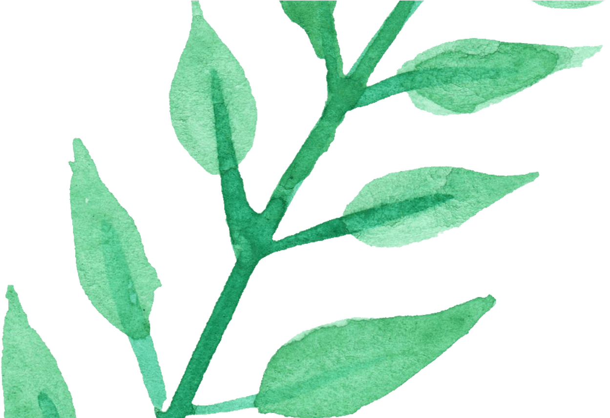 25 Watercolor Leaf Vol 3 Onlygfxcom - Transparency (1368x855)