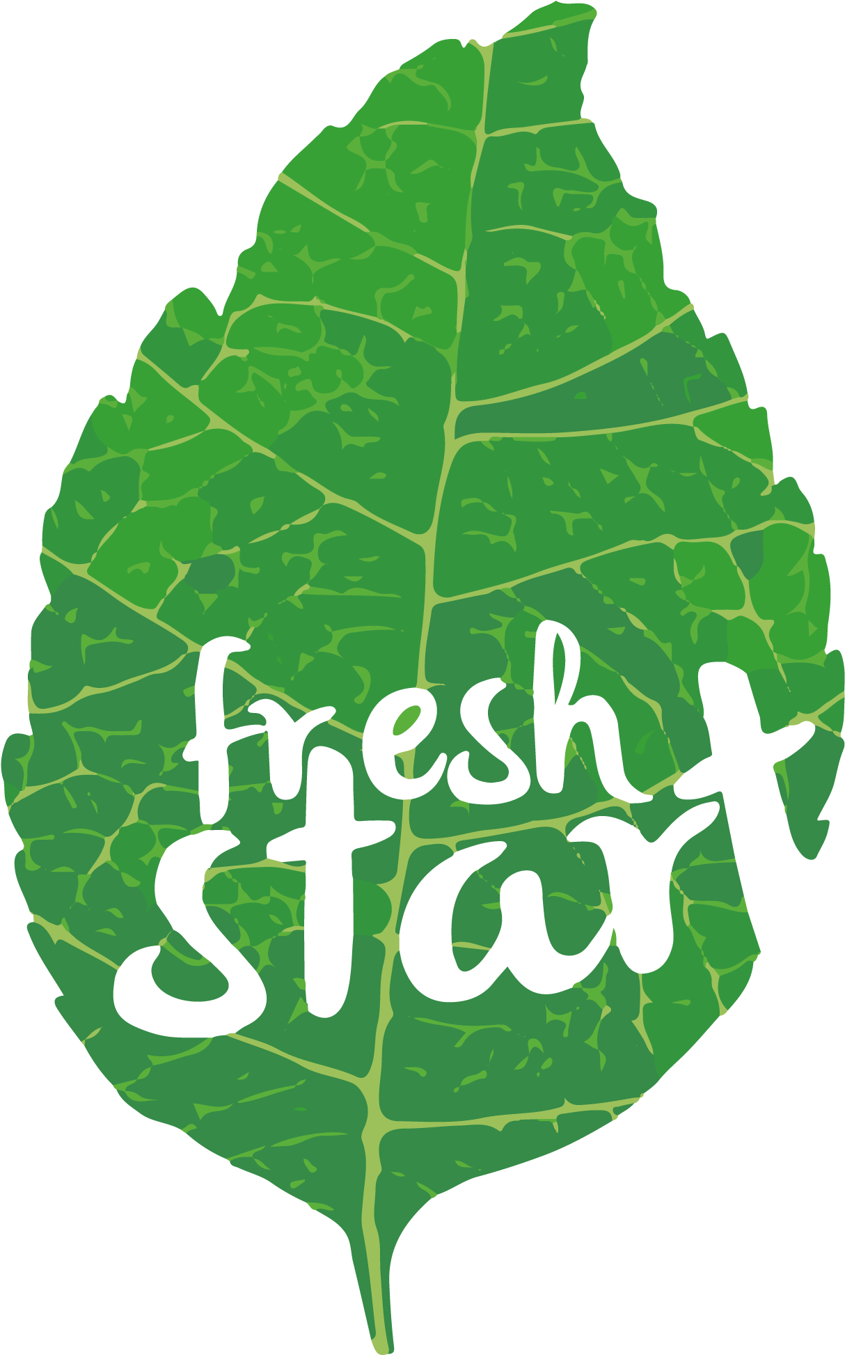 Lettuce Clip Art (1272x2000)