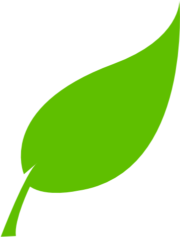 Leaf Vector Png - Tree Leaves Vector Png (600x600)