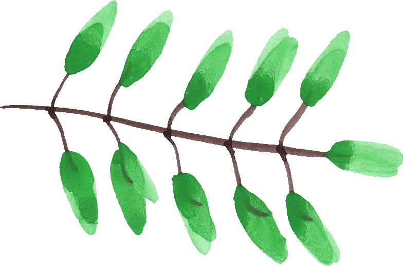 Free Download - Twig (784x519)