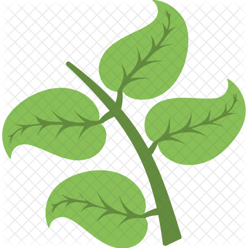 Leaf Icon - Leaf (512x512)