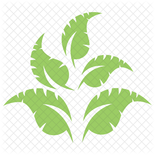 Apple Leaves Twig Icon - Leaf (512x512)