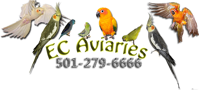 Logo - Logo (750x325)