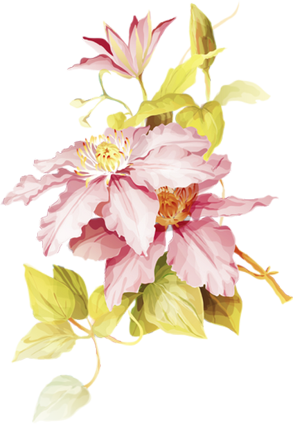 Botanical Art - F-07d Arrows Μ /is12f Arrows Es 【2個以上 送料無料】ハードケース フラワー (423x614)