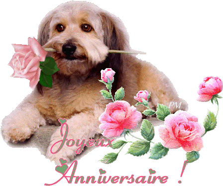 Birthday (460x386)