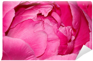 Rose (400x400)
