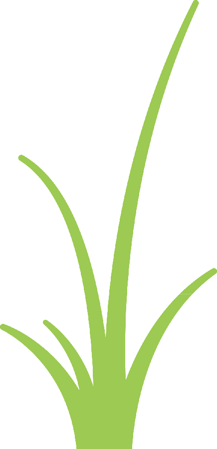 Say Hello - Pond (435x900)