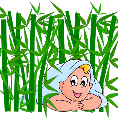 Bamboo .svg (400x400)