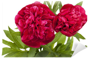 Red (400x400)