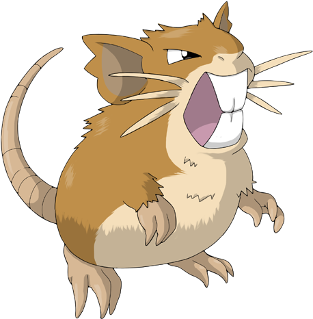 Raticate - Cartoon (500x500)