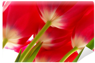 Red (400x400)