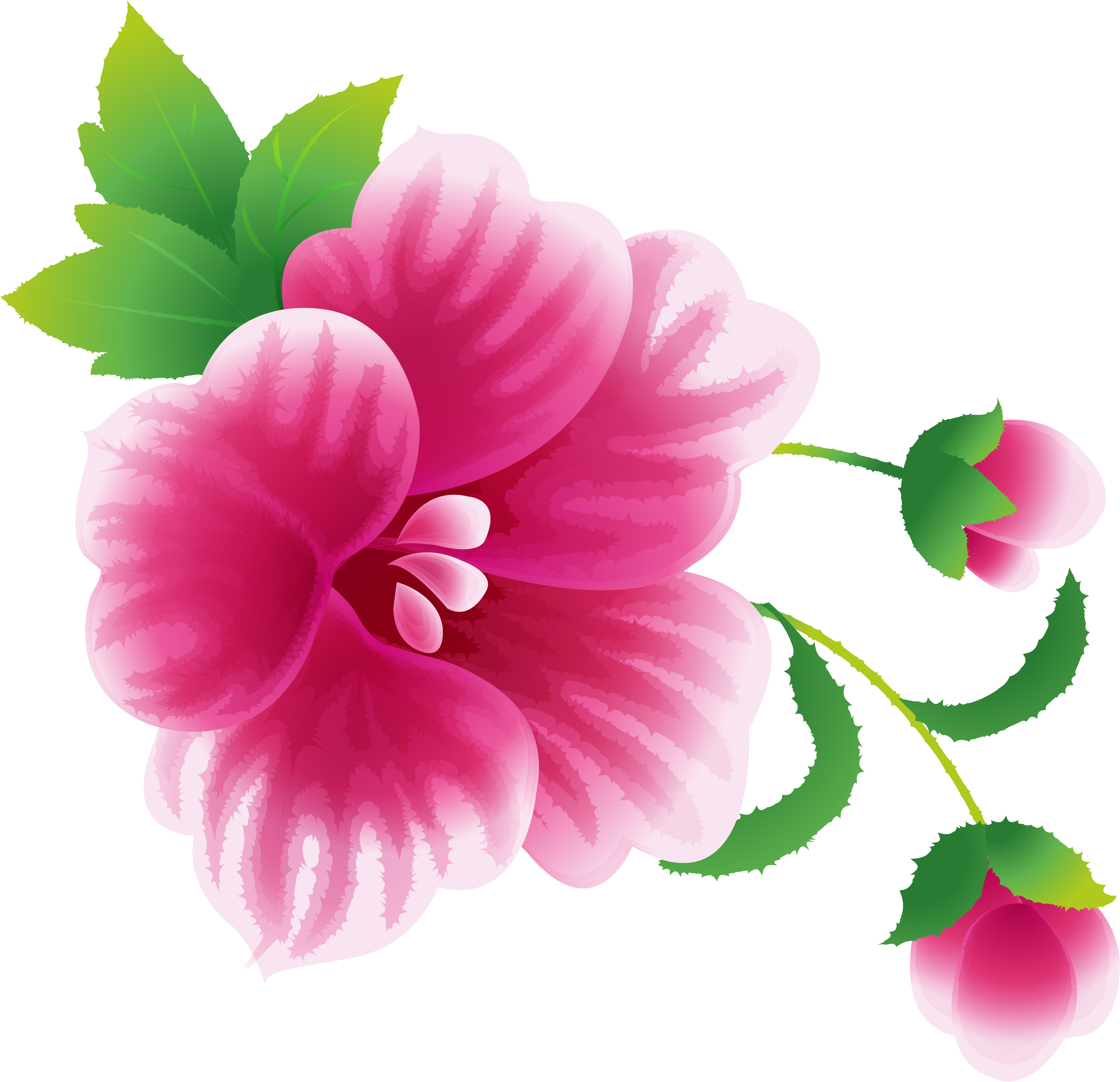 Read More » - Flower (4099x3961)