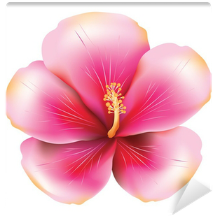 Rosemallows (400x400)